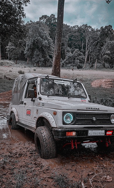 实际上对球 实际上对球