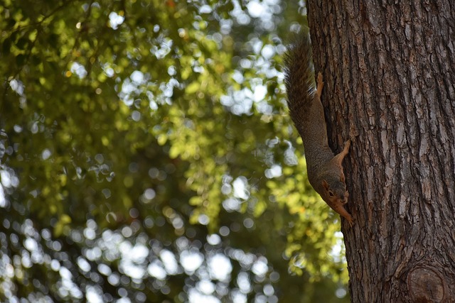 发了更多的 发了更多的