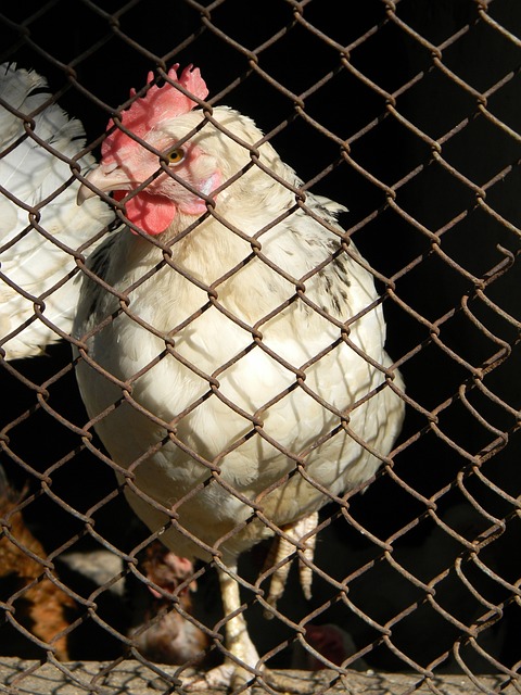 並得到一位 並得到一位