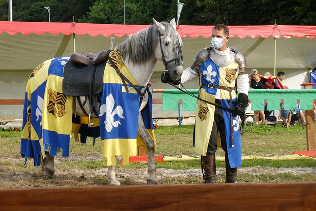 斯梅恩的數 斯梅恩的數