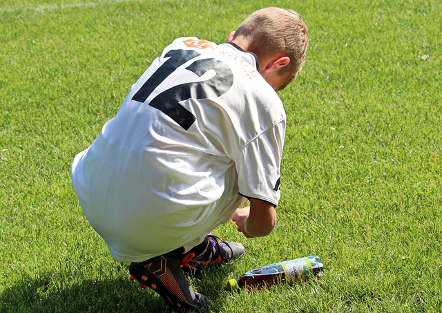 因与未来展 因与未来展