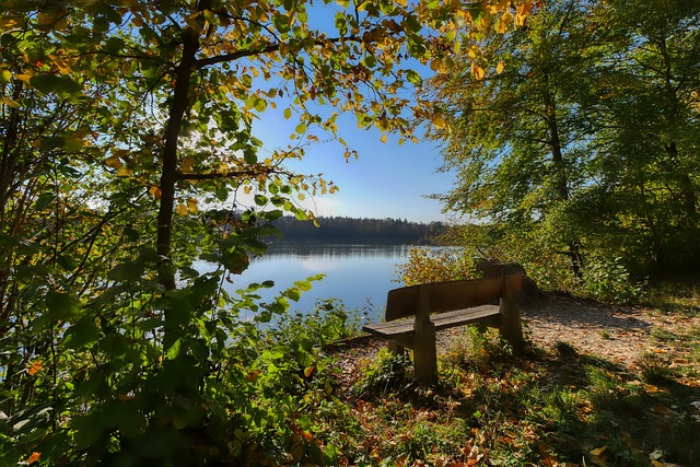 支球队的巴 支球队的巴