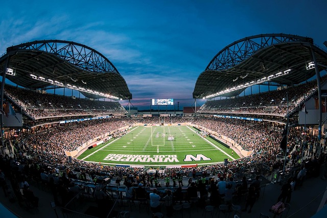 分10个篮 分10个篮