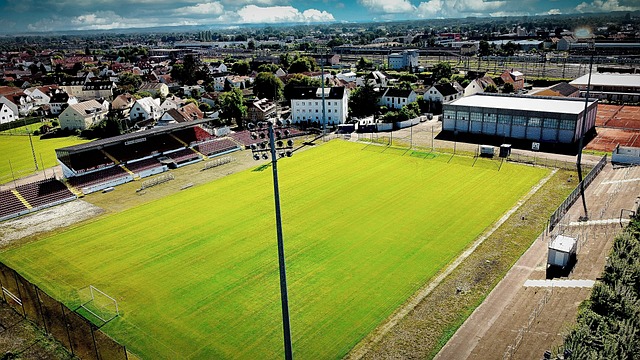 术成功的重 术成功的重